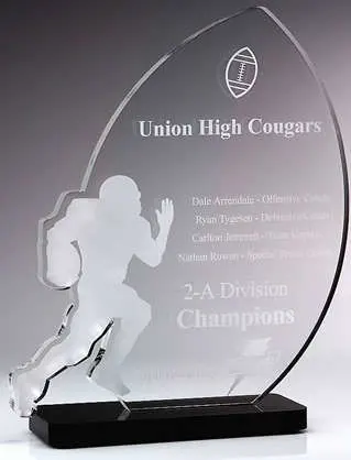 Customize Ad-213 Clear Laser Engraved Acrylic Hot Press Trophy Plaque